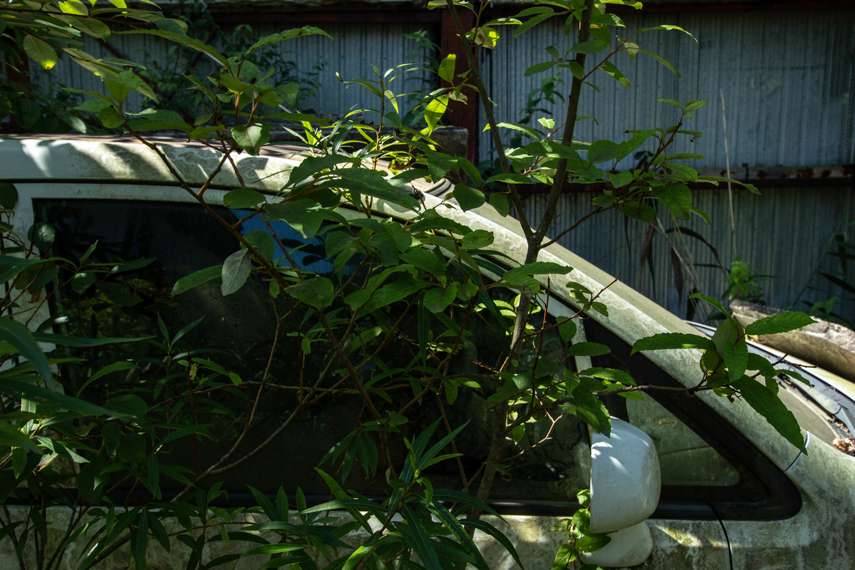 f:id:akikazesya:20200825130648j:plain