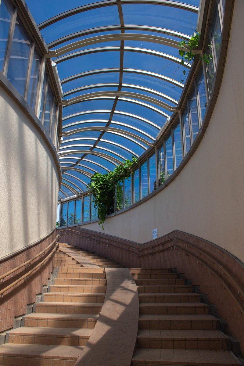 f:id:akikazesya:20200912070929j:plain