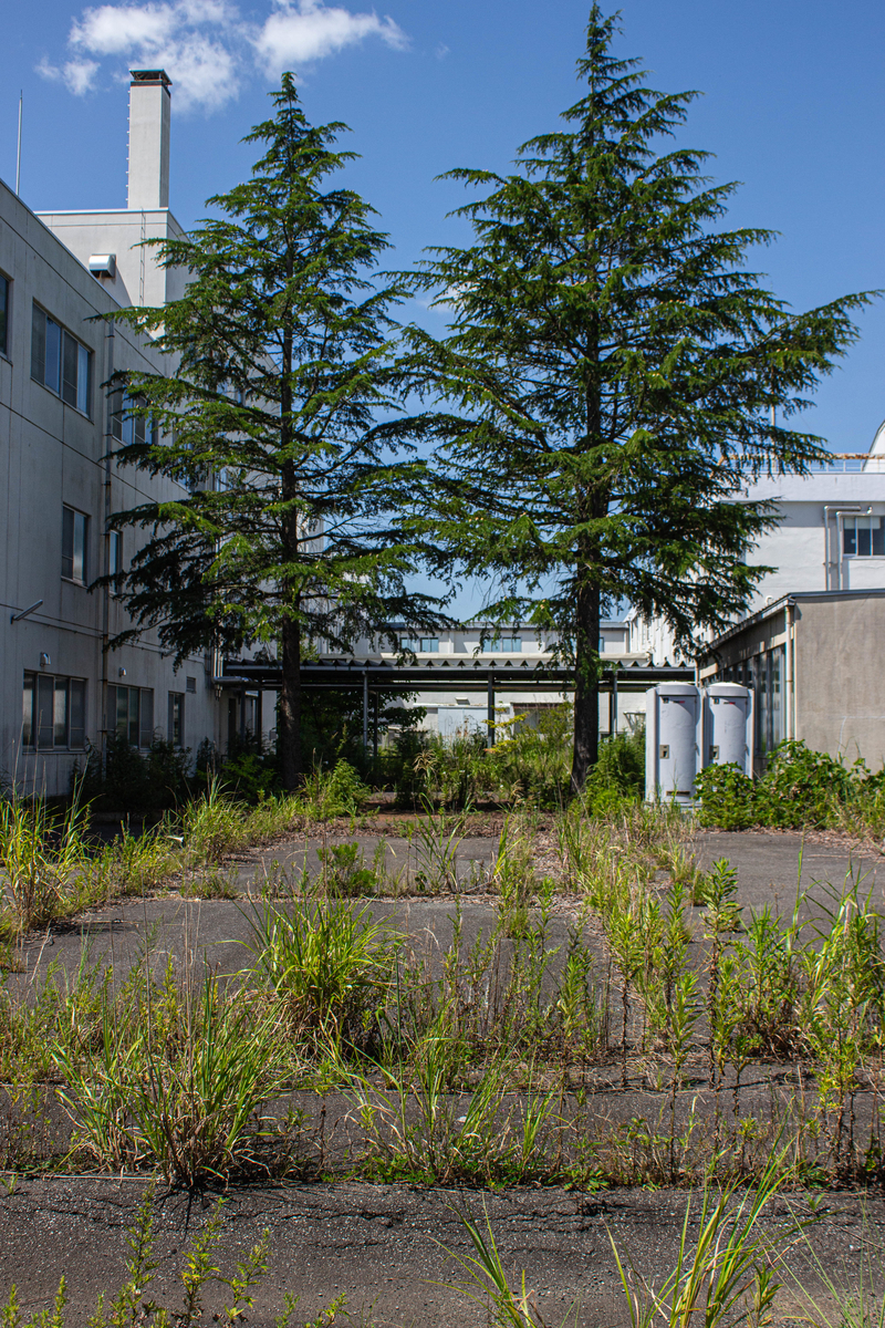 f:id:akikazesya:20200914060947j:plain