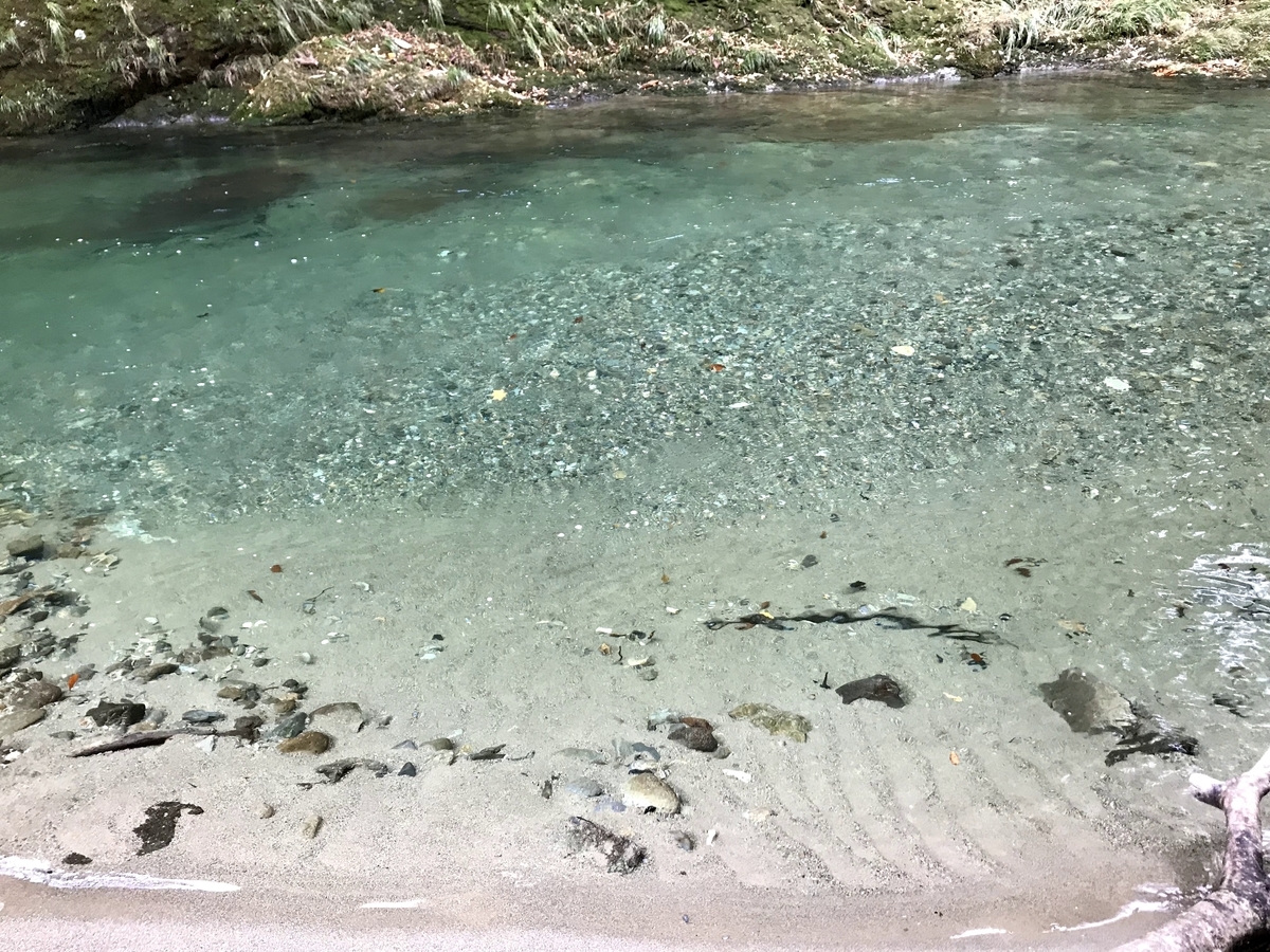 f:id:akikazesya:20200918191501j:plain