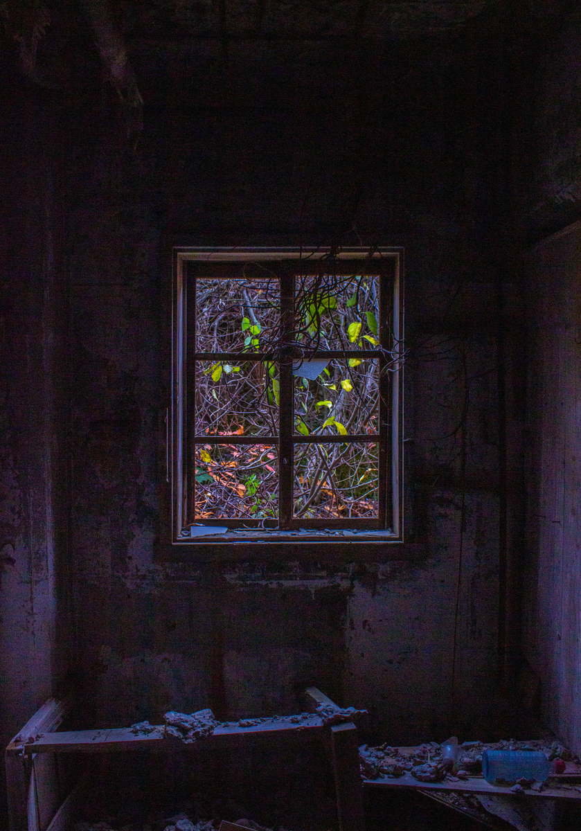 f:id:akikazesya:20200918211401j:plain