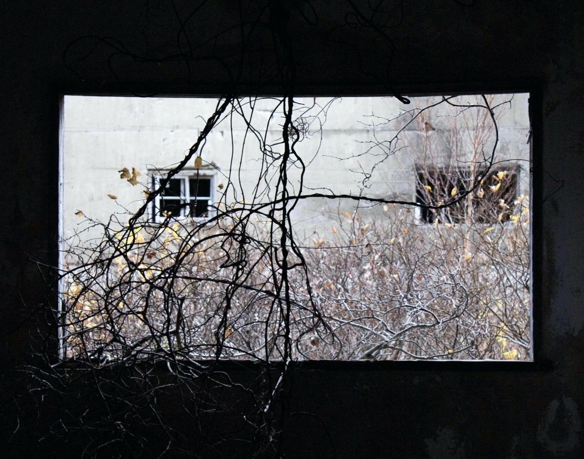 f:id:akikazesya:20200922162831j:plain