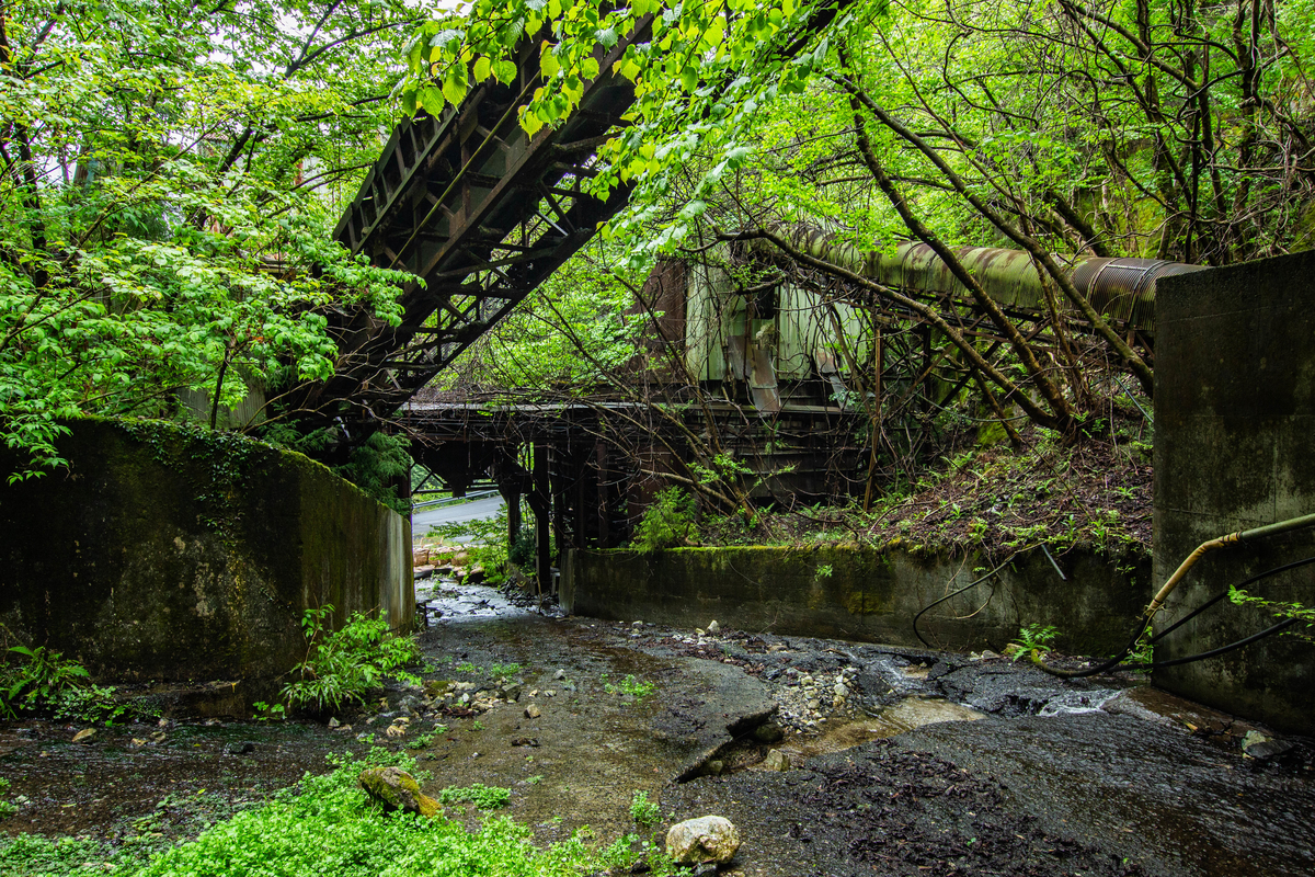 f:id:akikazesya:20200927072200j:plain