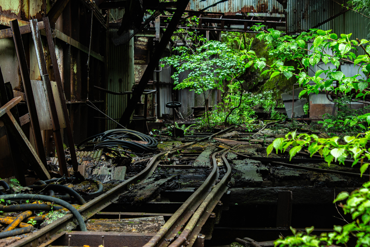 f:id:akikazesya:20201005222054j:plain