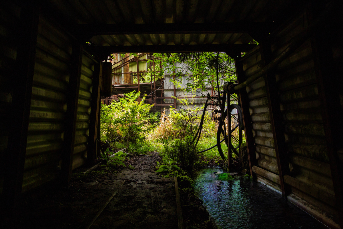 f:id:akikazesya:20201005222108j:plain