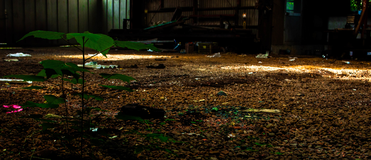 f:id:akikazesya:20210917235603j:plain