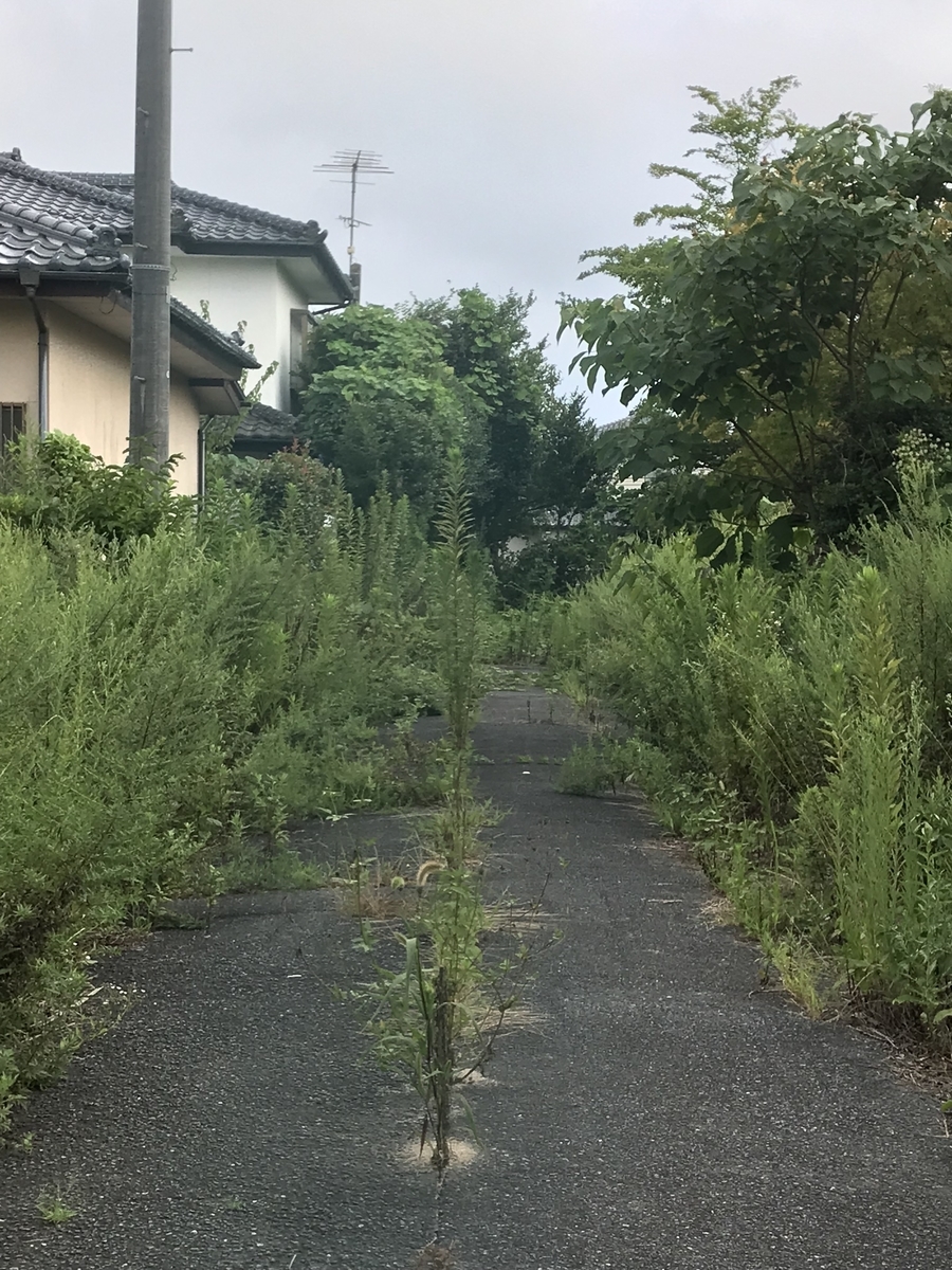 f:id:akikazesya:20210918001750j:plain