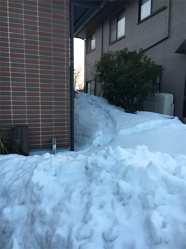 f:id:akiko-u:20201218161423j:image