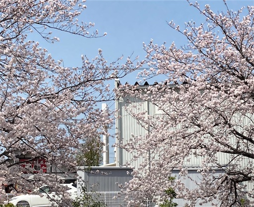 f:id:akiko-u:20210329163206j:image
