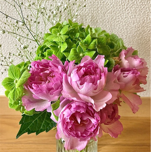 f:id:akiko-u:20210415171642j:image