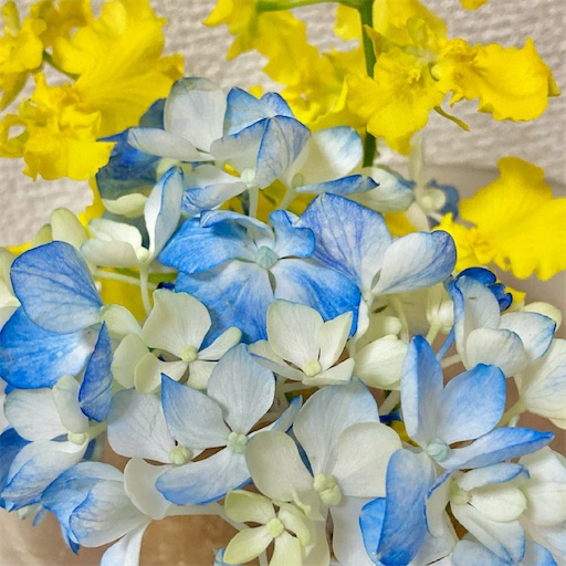 f:id:akiko-u:20210617204109j:image f:id:akiko-u:20210617204109j:image