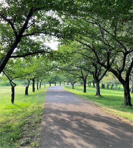 f:id:akiko-u:20210625185513j:image