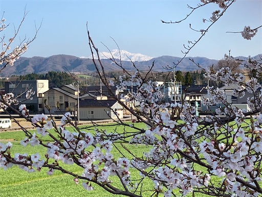 f:id:akiko-u:20220409150745j:image