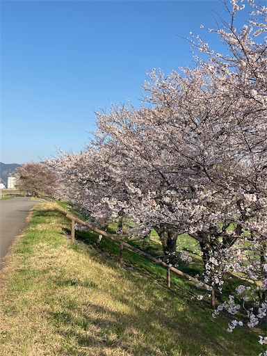 f:id:akiko-u:20220409150757j:image