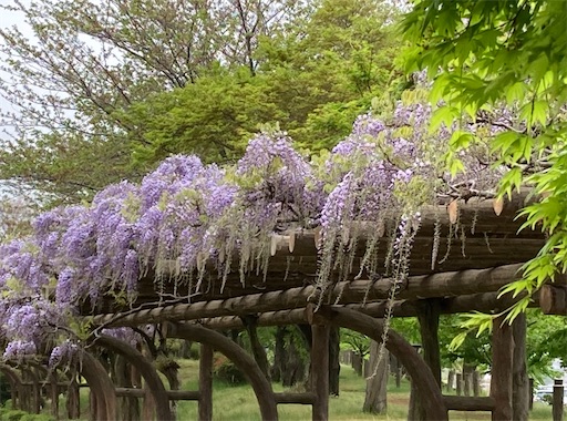 f:id:akiko-u:20220423194822j:image