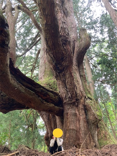 f:id:akiko-u:20220526140532j:image f:id:akiko-u:20220526140532j:image