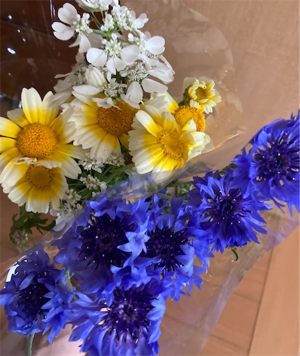 f:id:akiko-u:20220527183348j:image