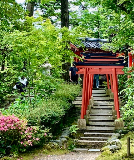 f:id:akiko-u:20220605170849j:image