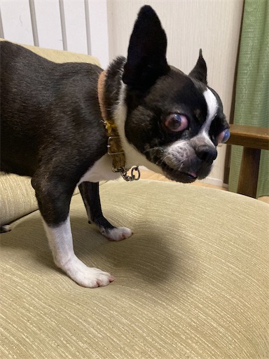f:id:akiko-u:20221007194036j:image