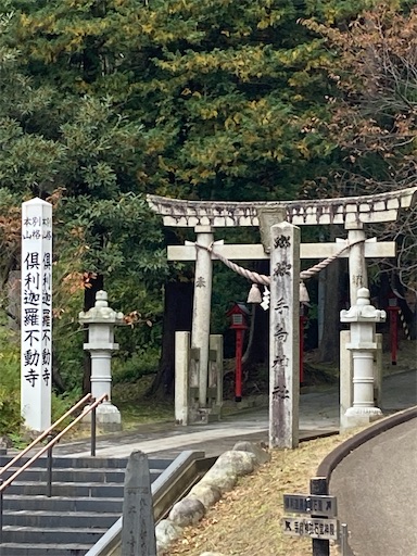 f:id:akiko-u:20221105163838j:image