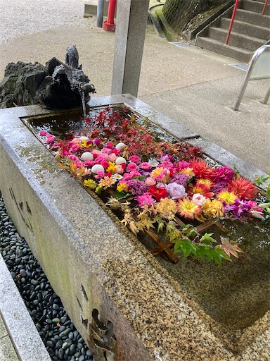 f:id:akiko-u:20221105163900j:image