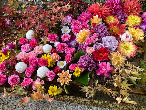 f:id:akiko-u:20221105164158j:image