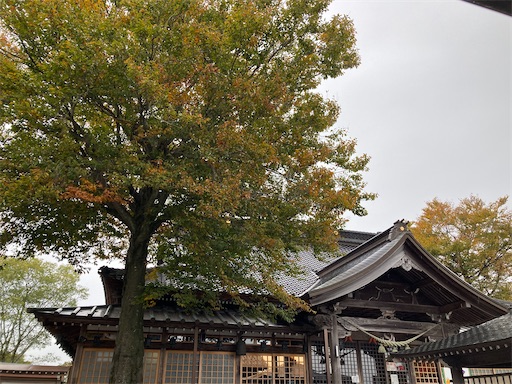 f:id:akiko-u:20221105164351j:image