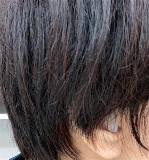 f:id:akiko-u:20221225124715j:image f:id:akiko-u:20221225124715j:image