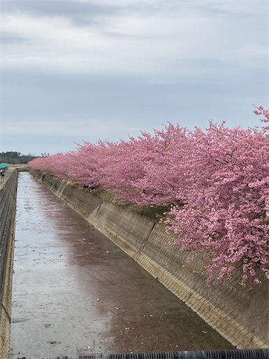 f:id:akiko-u:20230317190504j:image