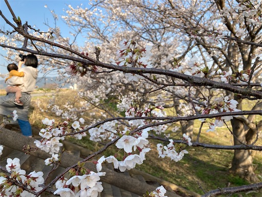 f:id:akiko-u:20230330180701j:image