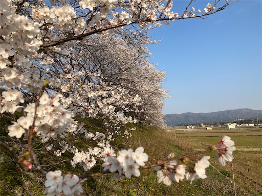 f:id:akiko-u:20230330180840j:image