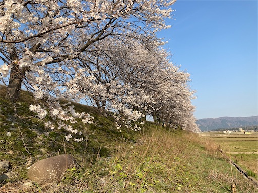 f:id:akiko-u:20230330180845j:image