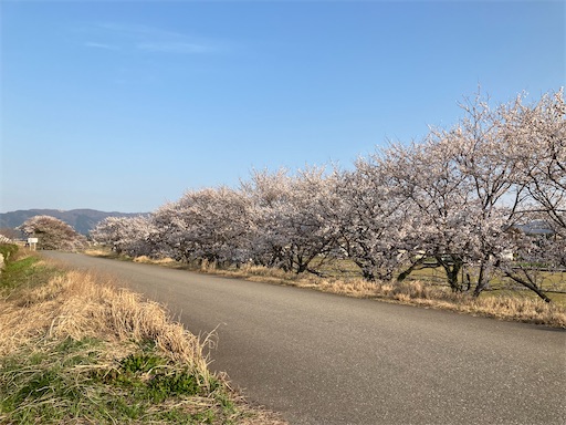 f:id:akiko-u:20230330180902j:image