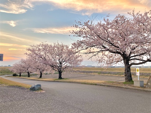 f:id:akiko-u:20230408174926j:image