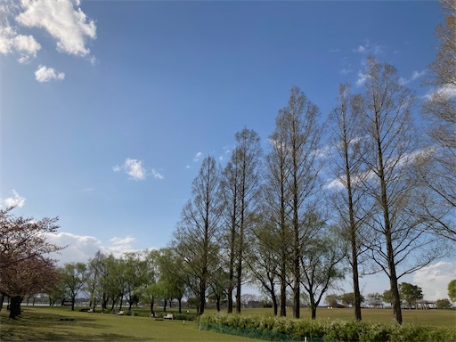 f:id:akiko-u:20230408175359j:image
