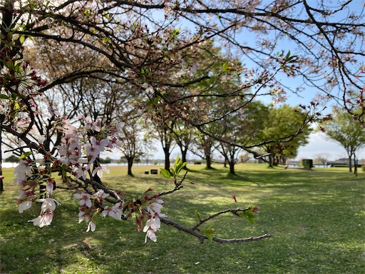 f:id:akiko-u:20230408175658j:image