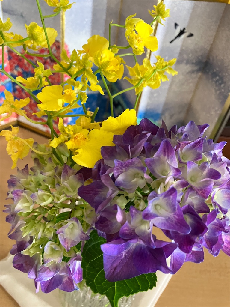 f:id:akiko-u:20230616182253j:image