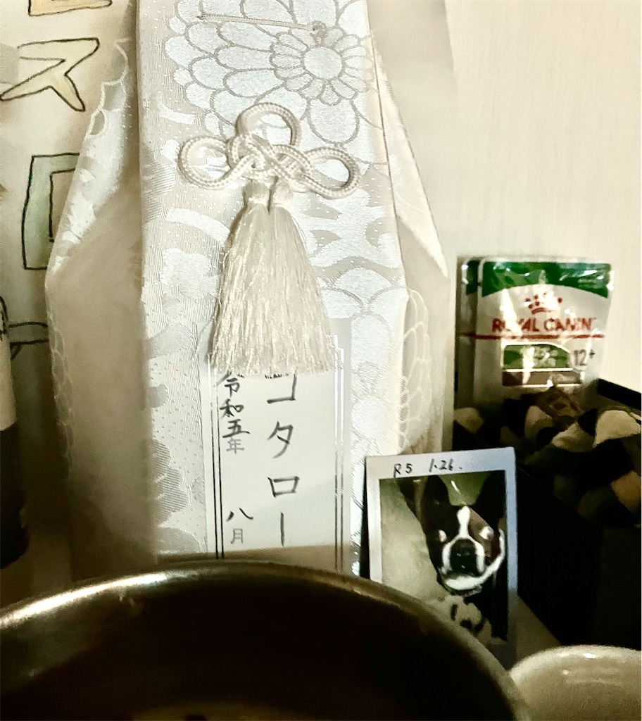 f:id:akiko-u:20231003185803j:image