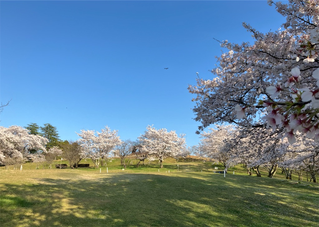 f:id:akiko-u:20240416182900j:image