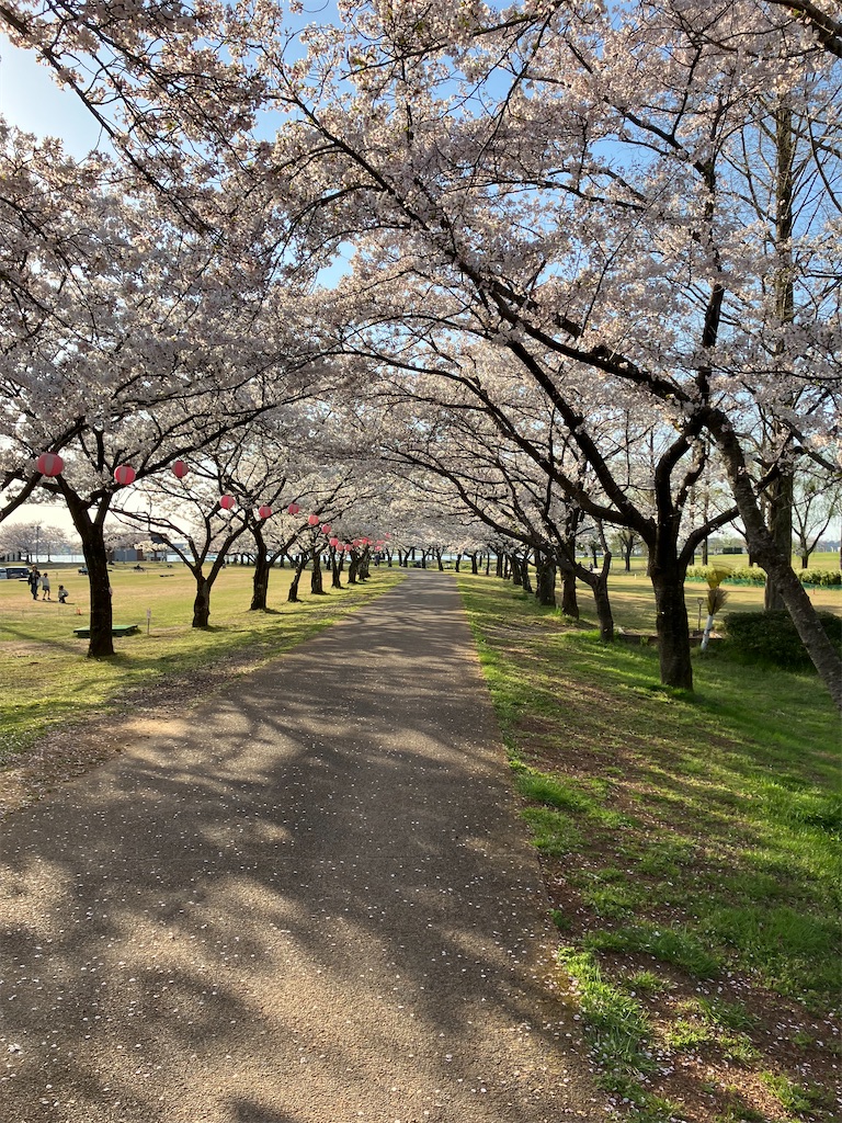 f:id:akiko-u:20240416182916j:image