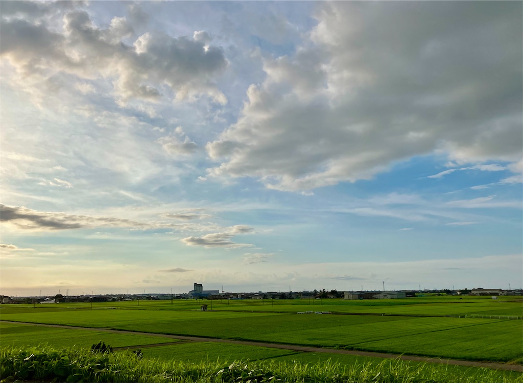 f:id:akiko-u:20240722194857j:image