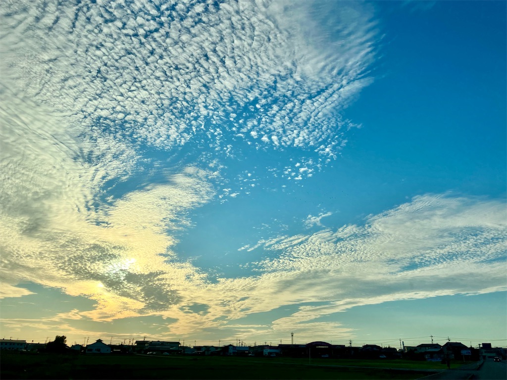f:id:akiko-u:20240917182230j:image f:id:akiko-u:20240917182230j:image