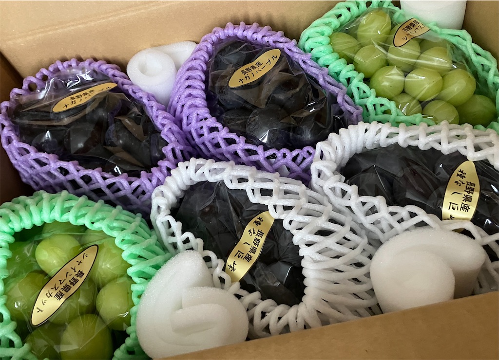f:id:akiko-u:20240919165909j:image f:id:akiko-u:20240919165909j:image