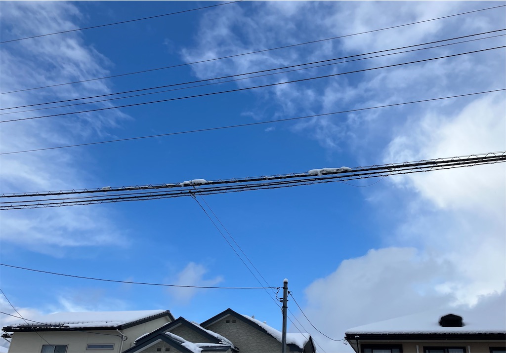 f:id:akiko-u:20250204165230j:image