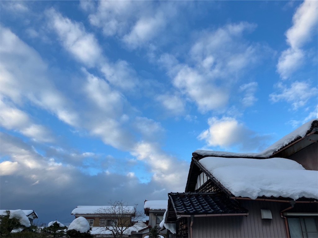 f:id:akiko-u:20250211174542j:image f:id:akiko-u:20250211174542j:image