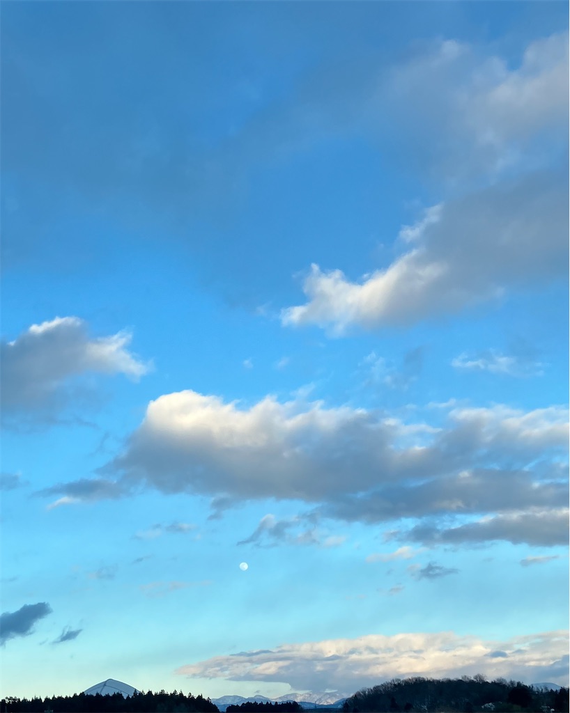 f:id:akiko-u:20250211174858j:image f:id:akiko-u:20250211174858j:image
