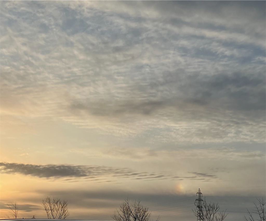 f:id:akiko-u:20250215185407j:image f:id:akiko-u:20250215185407j:image