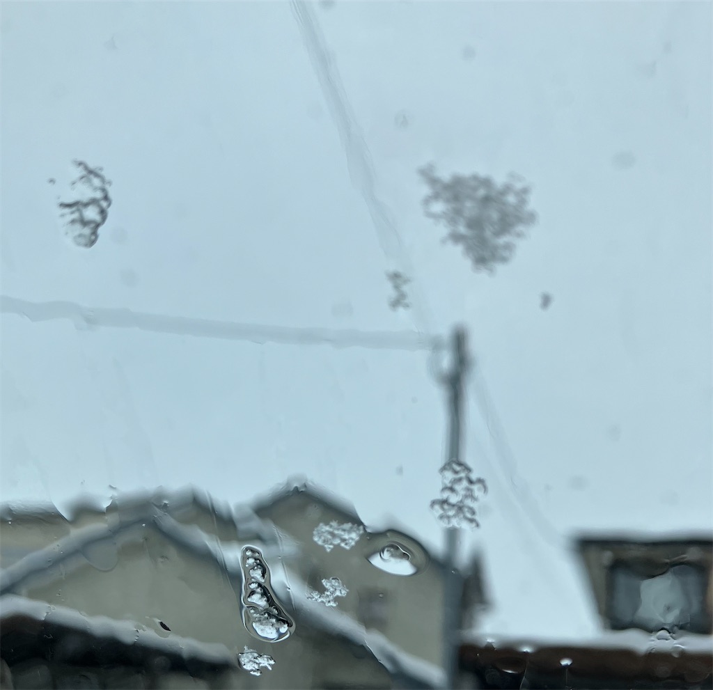 f:id:akiko-u:20250220140106j:image