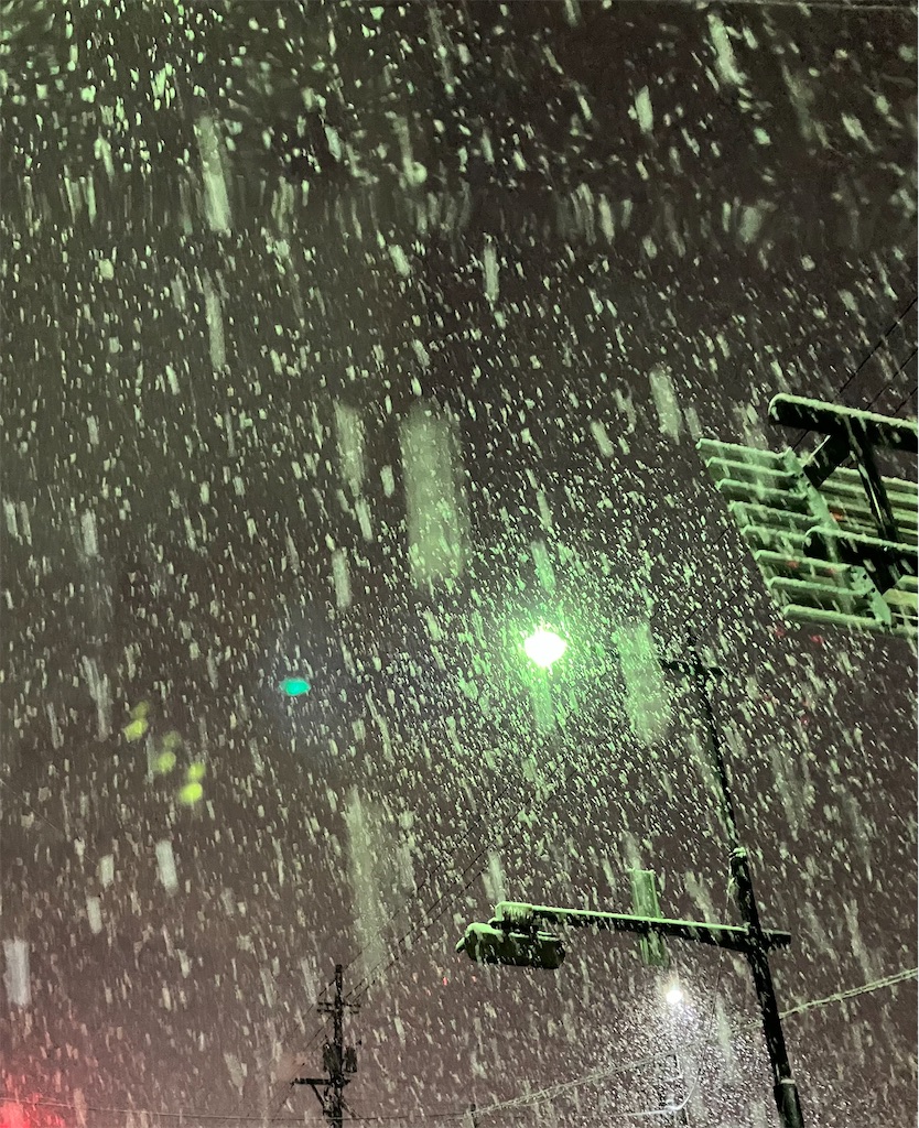 f:id:akiko-u:20250224092622j:image