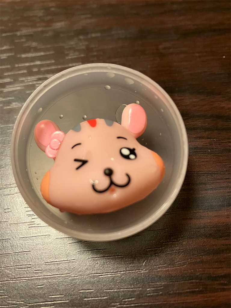 f:id:akiko-u:20250417202038j:image